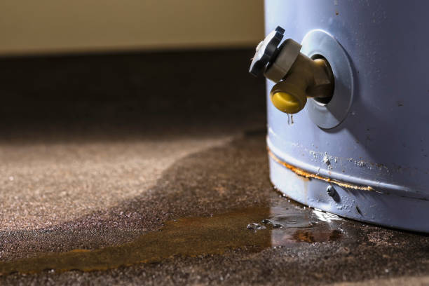 Best Water damage restoration mold remediation  in Church Rock, NM