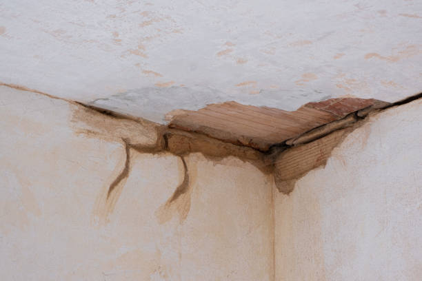 Best Water damage restoration near me  in Church Rock, NM