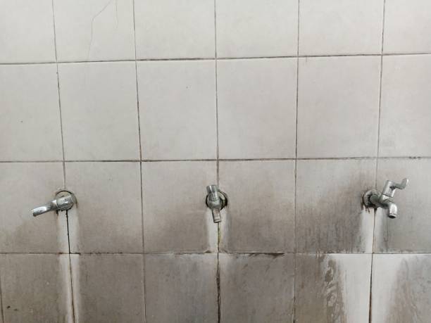 Best Professional water damage repair  in Church Rock, NM