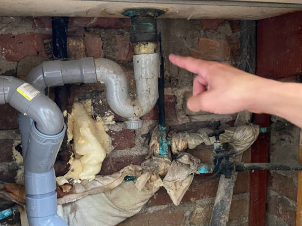 Best Mold removal after water damage  in Church Rock, NM